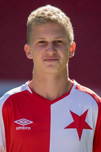 Havránek