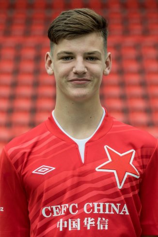 Sirotník